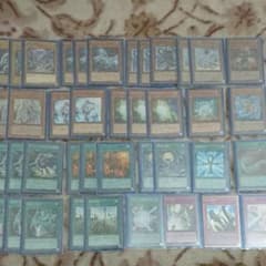 遊戯王 青眼デッキのサムネイル