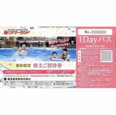 東京サマーランドパスポートチケット☆プールも遊園地も遊び放題♪のサムネイル