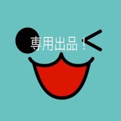 DSソフト専用のサムネイル