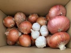 タマネギ　5キロセットのサムネイル