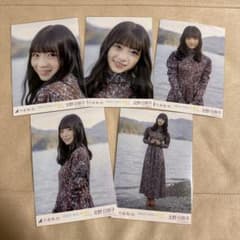 m41361574435_1.jpg?1712298781