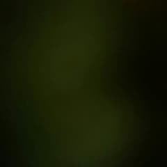 りょたさん専用のサムネイル