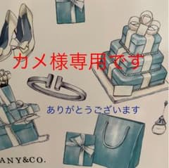 カメ様専用ですのサムネイル