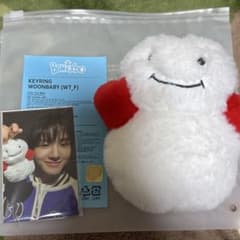 m41362797992_1.jpg?1738514550