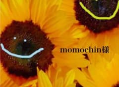 momochin様専用のサムネイル