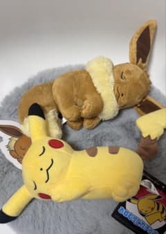 오네무리 피카츄, 오히루네 이브이 2점 세트