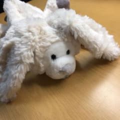 ぬいぐるみ筆箱のサムネイル
