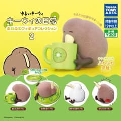 ゆるいキーウィ キーウィの日常2のサムネイル