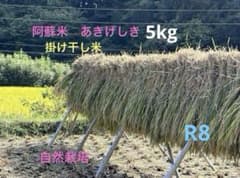 R8 新米✨阿蘇　あきげしき　5Kg （精米済み）　自然栽培米 掛干し　希少米のサムネイル