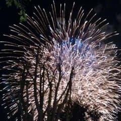 cohi様専用のサムネイル