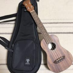 ♡値下げ 送料込 美品 ウクレレ aNueNue Mini C Series♡のサムネイル