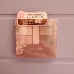 CANMAKE パーフェクトスタイリッシュアイズ 10のサムネイル