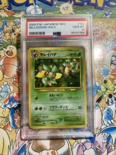 psa10 1999年 キレイハナ ホロカード #182 psa10 1999年 キレイハナ ホロカード #182 - メルカリ