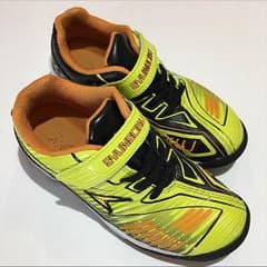 瞬足 20cm 美品 メンテナンス済のサムネイル