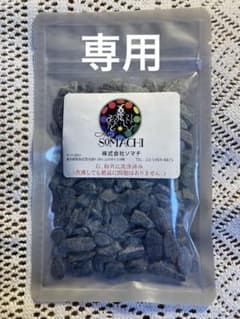 古代ソマチッド(石タイプ100g)のサムネイル