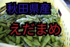 枝豆1キロのサムネイル