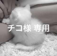 チコ様専用のサムネイル