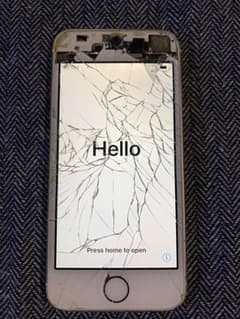 AYU是非様専用のサムネイル