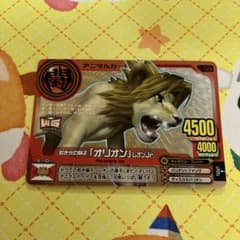 アニマルカイザー 第11弾 若き光の獅子 オリオン レオンJr. - メルカリ