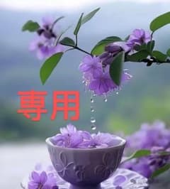 廃盤希少品 レブロン バームステイン #05 リップリップバーム 5点