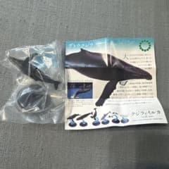ネイチャーテクニカラー /クジラとイルカ /★ザトウクジラ★のサムネイル