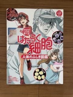 はたらく細胞 人体のふしぎ図鑑のサムネイル