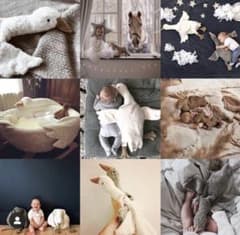 SENGER Naturwelt goose Ssize グレーのサムネイル