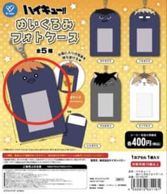 ハイキュー!! ぬいぐるみフォトケース ヒナガラスのサムネイル