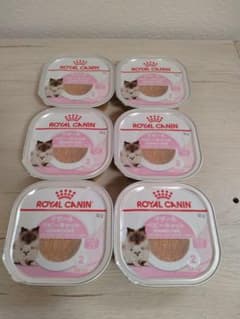 ロイヤルカナン マザー&ベビーキャット ウルトラソフトムース 100g×6個