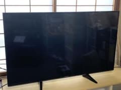 Panasonic ビエラ49インチ4K液晶TVのサムネイル