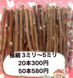 かじり木 りんご 極細 お試し20本のサムネイル