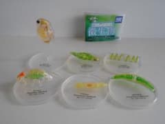 m41396216962_1.jpg?1733583609