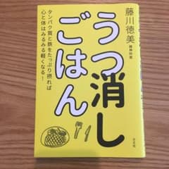 うつ消しごはん タンパク質と鉄をたっぷり摂れば心と体はみるみる軽くなる!のサムネイル