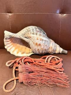 法螺貝　ほら貝　真鍮口付　大きなホラ貝　約３５ｃｍ 法螺貝 ほら貝 真鍮口付 大きなホラ貝 約35cm - メルカリ