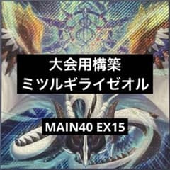 遊戯王　ミツルギライゼオル　構築済みデッキ　MAIN40/EX15 遊戯王 ミツルギライゼオル 構築済みデッキ MAIN40/EX15 - メルカリ