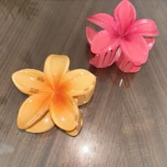 ヘアクリップ 2個セットのサムネイル