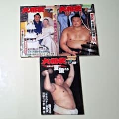 大相撲　1995年 (平成7年) 7月～9月号　3冊セット　読売新聞社
