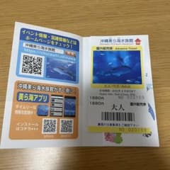 沖縄美ら海水族館　チケット　美ら海水族館のサムネイル