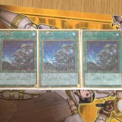 同胞の絆 3枚のサムネイル