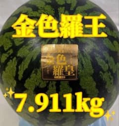 689匿名発送！千葉県産　金色羅皇スイカ　高糖度　7.911kg１玉のサムネイル