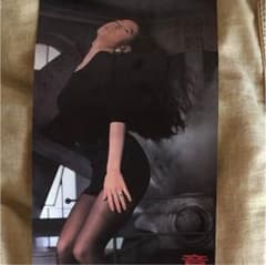 ✨中森明菜 パイオニア プライベート 非売品 ポスター④✨のサムネイル