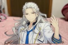 一緒に暮らすアクスタ 乱凪砂のサムネイル