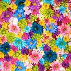 momo様返金ページのサムネイル