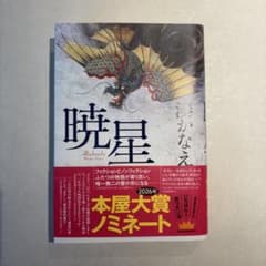 暁星　あけぼし　湊かなえのサムネイル