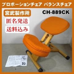 宮武製作所 プロポーションチェア バランスチェア 補助クッション付