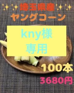 専用になります。１００本➕おまけ最低5本！ヤングコーンのサムネイル