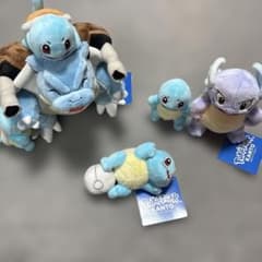 お顔厳選 ポケパーク カントー ゼニガメ カメール カメックス