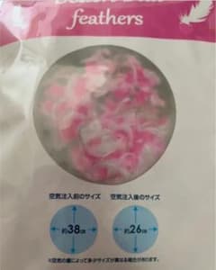 ビーチボール　羽のサムネイル