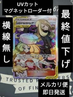 シロナ&カトレアSRのサムネイル