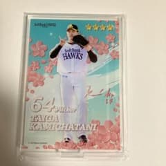 上茶谷大河　アクリルスタンド　タカコレくじ 2026 vol.1 ホークスのサムネイル